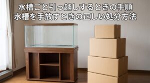 水を抜いた空の水槽と積まれた引っ越し用段ボール箱がある部屋の様子