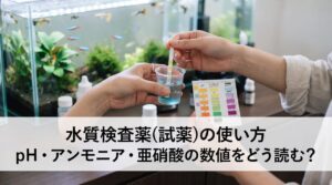 採取した水に試験紙を浸し、色見本表と見比べている手元、背景に熱帯魚の泳ぐ水槽