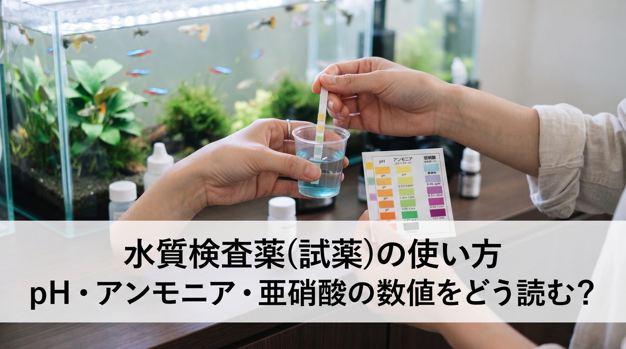 採取した水に試験紙を浸し、色見本表と見比べている手元、背景に熱帯魚の泳ぐ水槽